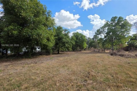Terreno en venta en Clewiston, Florida № 2027476 - foto 8