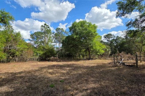 Terreno en venta en Clewiston, Florida № 2027476 - foto 11