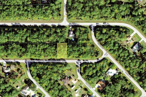Land in Port Charlotte, Florida № 2158984 - photo 2