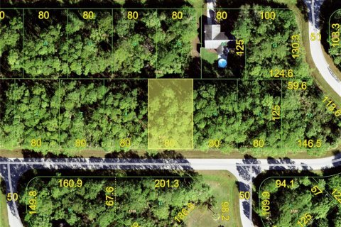 Land in Port Charlotte, Florida № 2158984