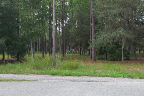 Land in Brooksville, Florida № 1911591 - photo 4