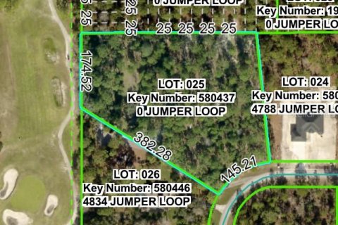 Land in Brooksville, Florida № 1911591 - photo 9