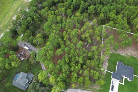 Land in Brooksville, Florida № 1911591 - photo 1
