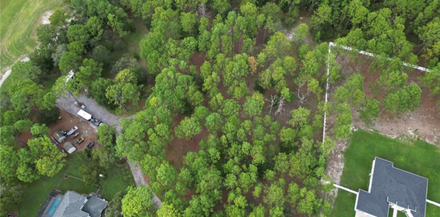 Land in Brooksville, Florida № 1911591