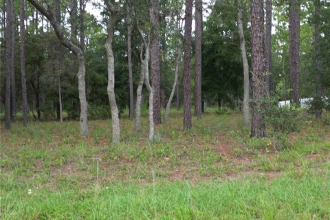 Land in Brooksville, Florida № 1911591 - photo 7