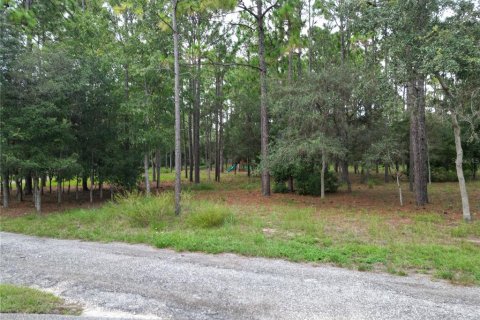 Land in Brooksville, Florida № 1911591 - photo 5