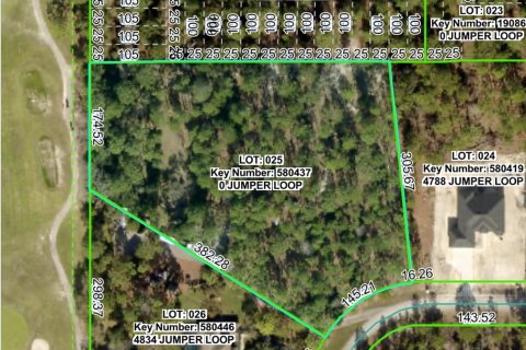 Land in Brooksville, Florida № 1911591 - photo 8