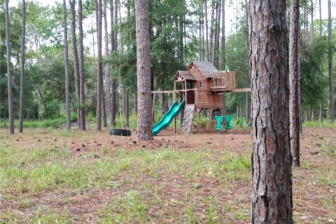 Land in Brooksville, Florida № 1911591 - photo 3