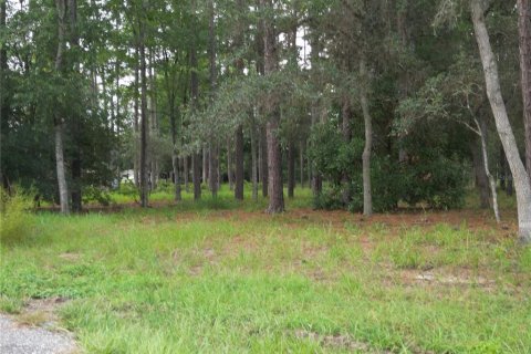 Land in Brooksville, Florida № 1911591 - photo 6
