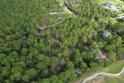 Land in Brooksville, Florida № 1911591 - photo 2