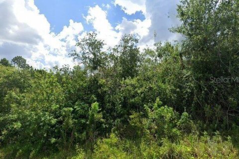 Terreno en Port Charlotte, Florida № 2231958