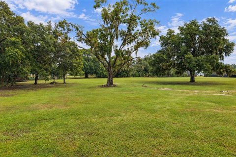Land in Lakeland, Florida № 2403697 - photo 4
