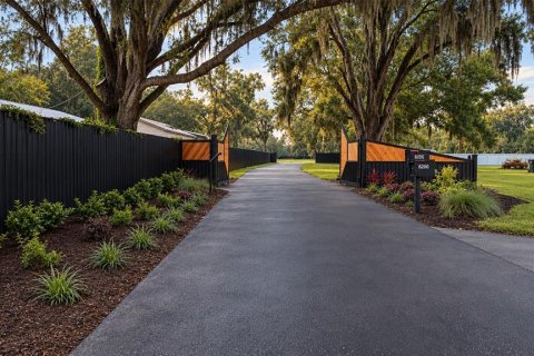 Land in Lakeland, Florida № 2403697 - photo 2