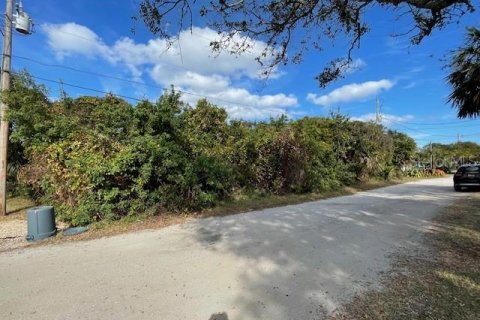 Terreno en venta en Ormond Beach, Florida № 1519835 - foto 6