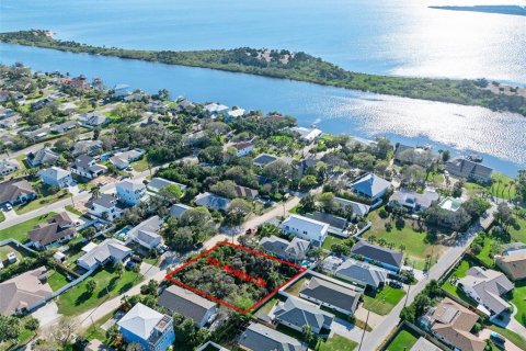 Terreno en venta en Ormond Beach, Florida № 1519835 - foto 10