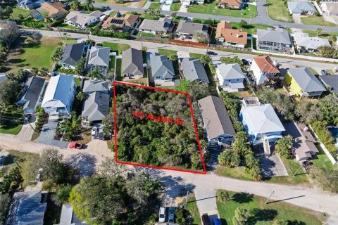 Terreno en venta en Ormond Beach, Florida № 1519835 - foto 3