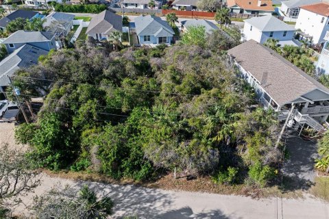 Terreno en venta en Ormond Beach, Florida № 1519835 - foto 28