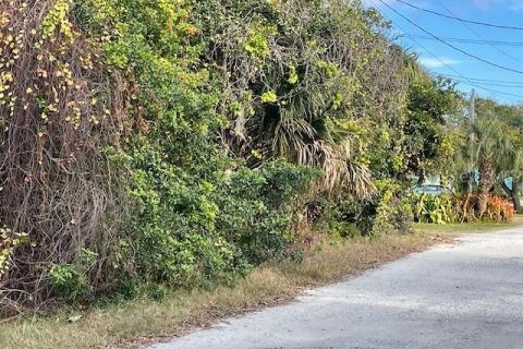 Terreno en venta en Ormond Beach, Florida № 1519835 - foto 1