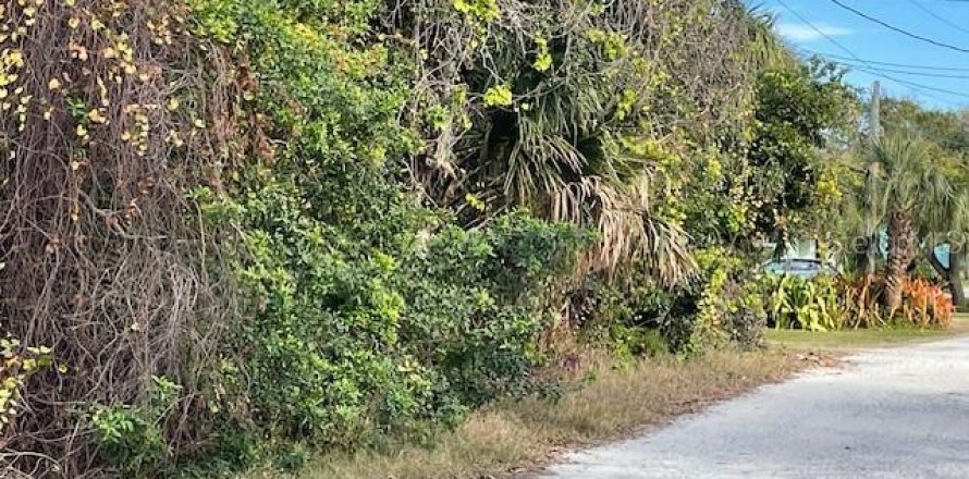 Terreno en Ormond Beach, Florida № 1519835