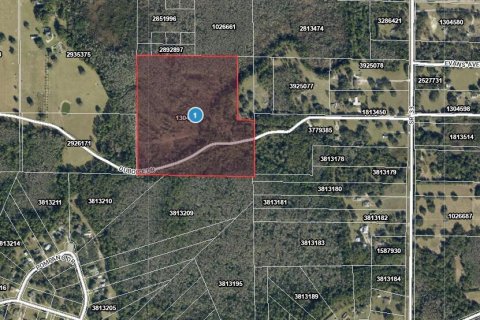 Propiedad comercial en venta en Clermont, Florida № 2155166 - foto 2