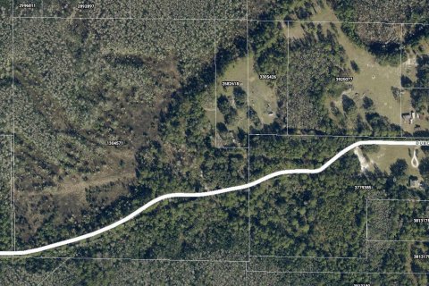 Propiedad comercial en venta en Clermont, Florida № 2155166 - foto 4