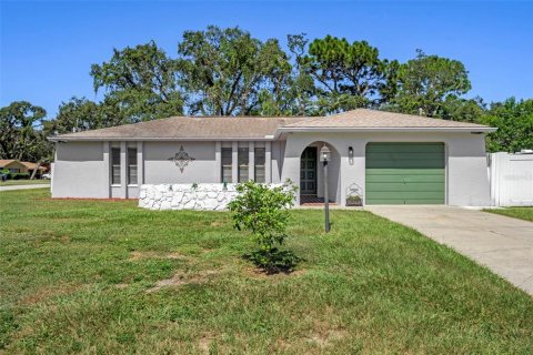 Villa ou maison à vendre à Spring Hill, Floride: 2 chambres, 124.12 m2 № 1905599 - photo 1