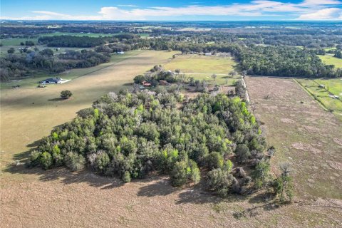 Terreno en venta en Oxford, Florida № 1565880 - foto 7