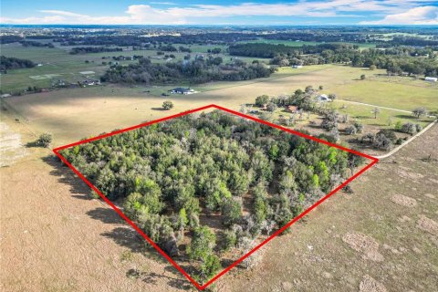 Terreno en venta en Oxford, Florida № 1565880 - foto 2