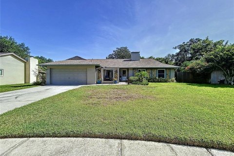 House in Tampa, Florida 4 bedrooms, 168.62 sq.m. № 1870473 - photo 1
