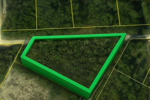 Land in Webster, Florida № 2161067