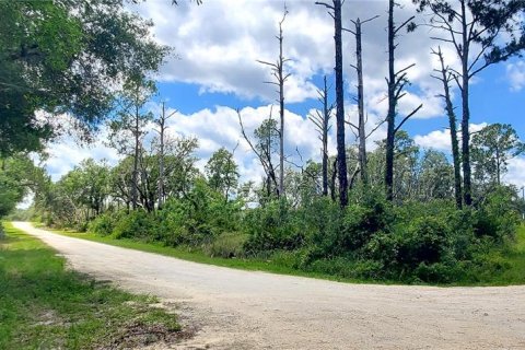 Land in Webster, Florida № 2161067 - photo 3