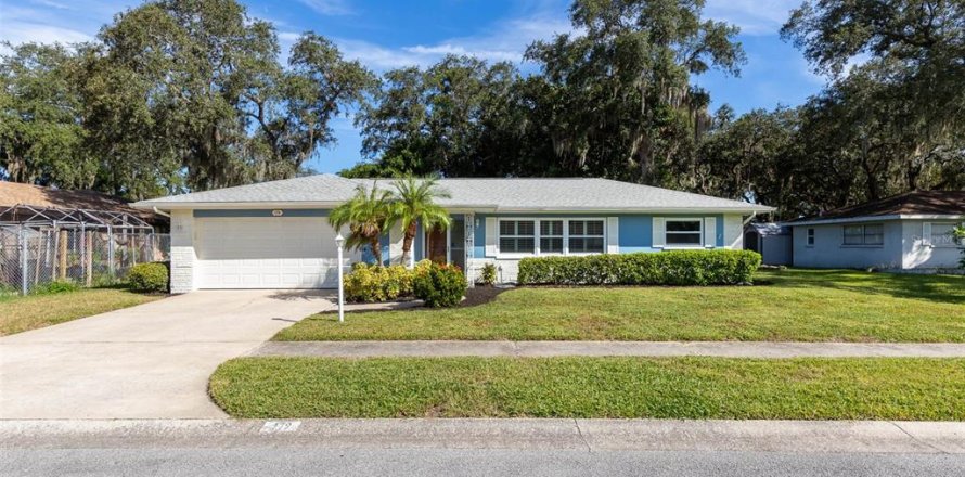 Villa ou maison à Palm Harbor, Floride 2 chambres, 137.68 m2 № 2399419