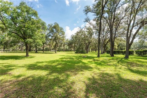 Villa ou maison à vendre à Morriston, Floride: 5 chambres № 2404436 - photo 5