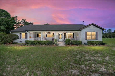 Villa ou maison à vendre à Morriston, Floride: 5 chambres № 2404436 - photo 3