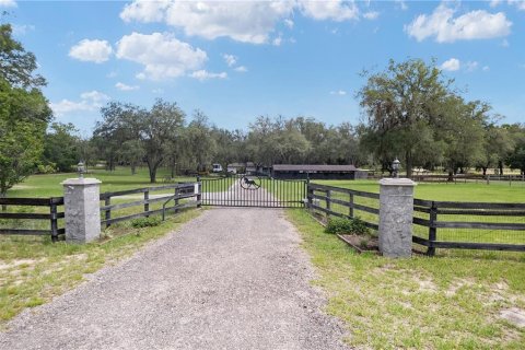 Villa ou maison à vendre à Morriston, Floride: 5 chambres № 2404436 - photo 7