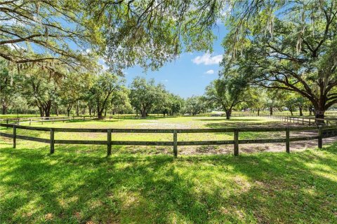 Villa ou maison à vendre à Morriston, Floride: 5 chambres № 2404436 - photo 14