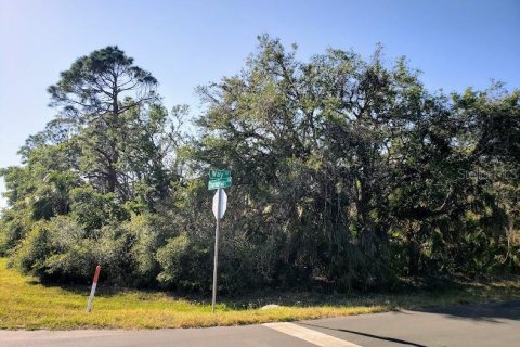 Land in Port Charlotte, Florida № 2228858