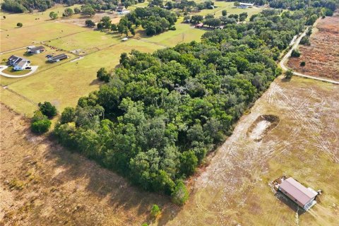 Terrain à vendre à Eustis, Floride № 2197007 - photo 4