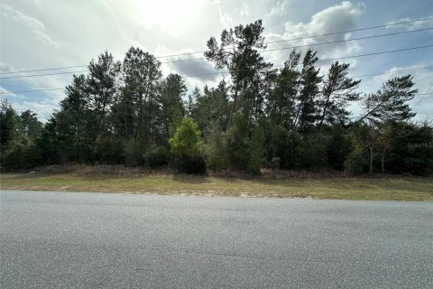 Terrain à vendre à Ocala, Floride № 1550228 - photo 6