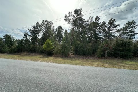 Terrain à vendre à Ocala, Floride № 1550228 - photo 8