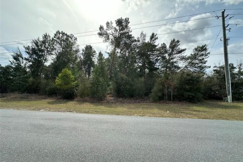 Terrain à vendre à Ocala, Floride № 1550228 - photo 5