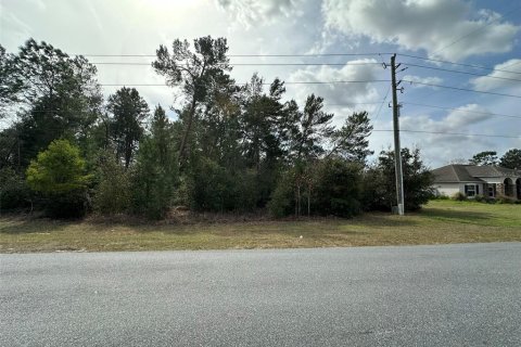 Terrain à vendre à Ocala, Floride № 1550228 - photo 7