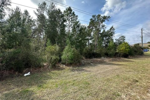 Terrain à vendre à Ocala, Floride № 1550228 - photo 2