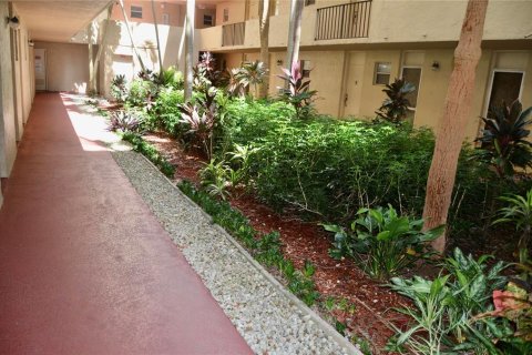 Studio in the Condo in Plantation, Florida № 2167202