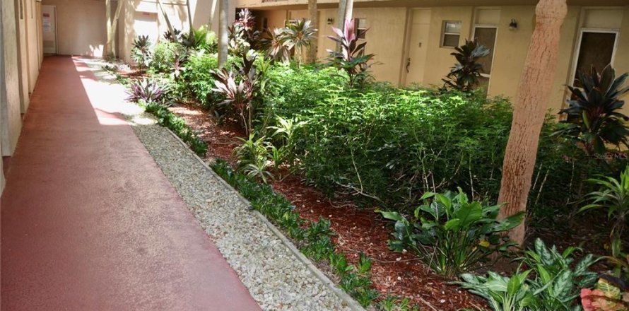 Studio in the Condo in Plantation, Florida  № 2167202