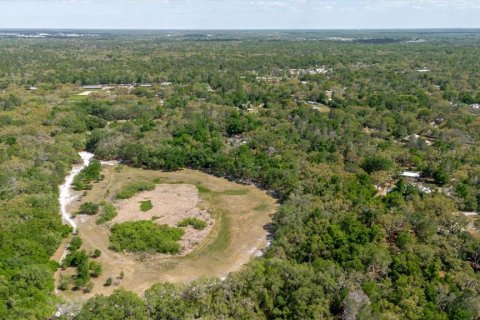 Terrain à vendre à Hudson, Floride № 2107132 - photo 5