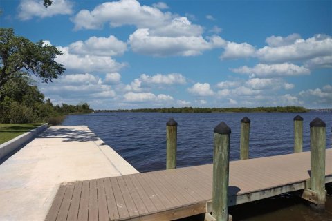 Land in Punta Gorda, Florida № 2128715 - photo 8