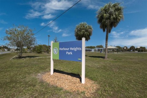 Land in Punta Gorda, Florida № 2128715 - photo 5