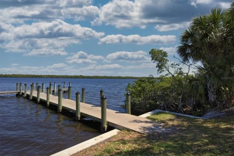 Land in Punta Gorda, Florida № 2128715 - photo 7