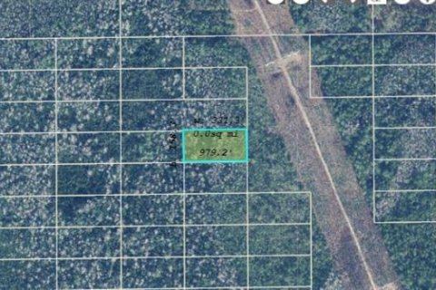 Land in Orlando, Florida № 2161397 - photo 2